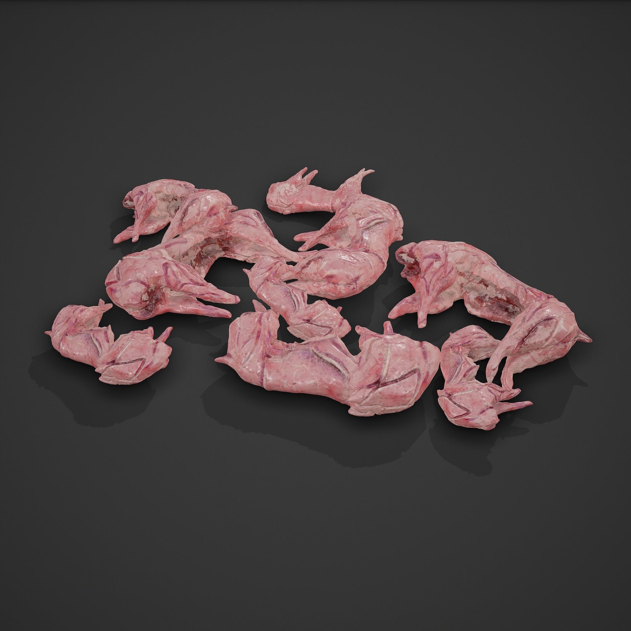 Skinned Rabbit Meat  3D model_20
