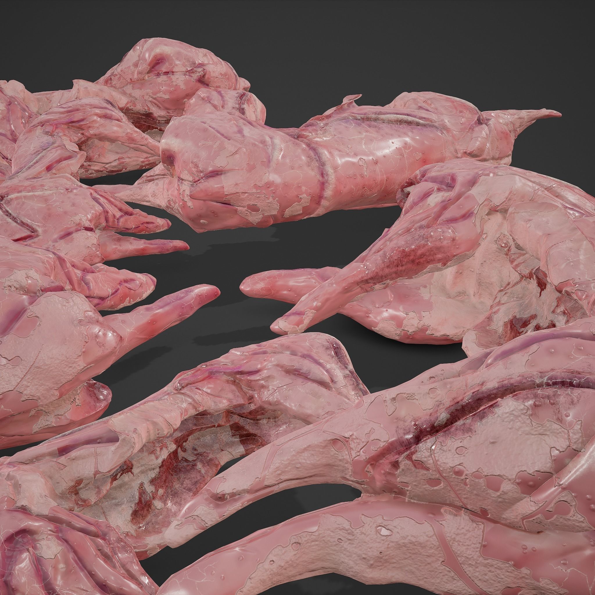 Skinned Rabbit Meat  3D model_18