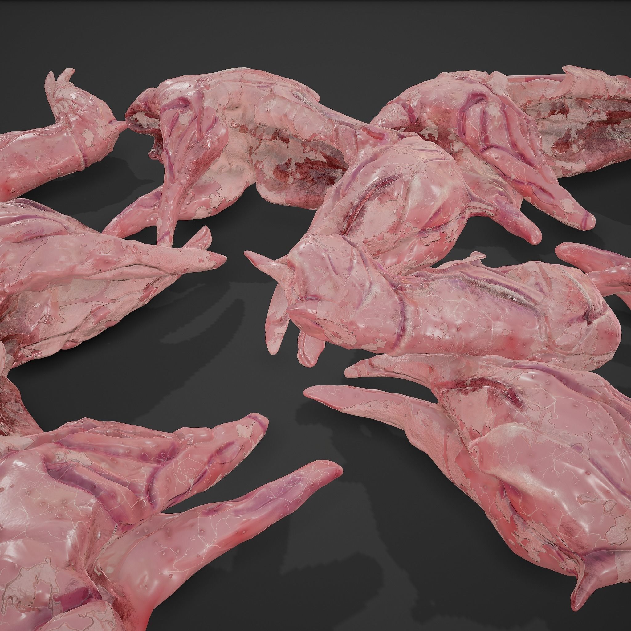 Skinned Rabbit Meat  3D model_16