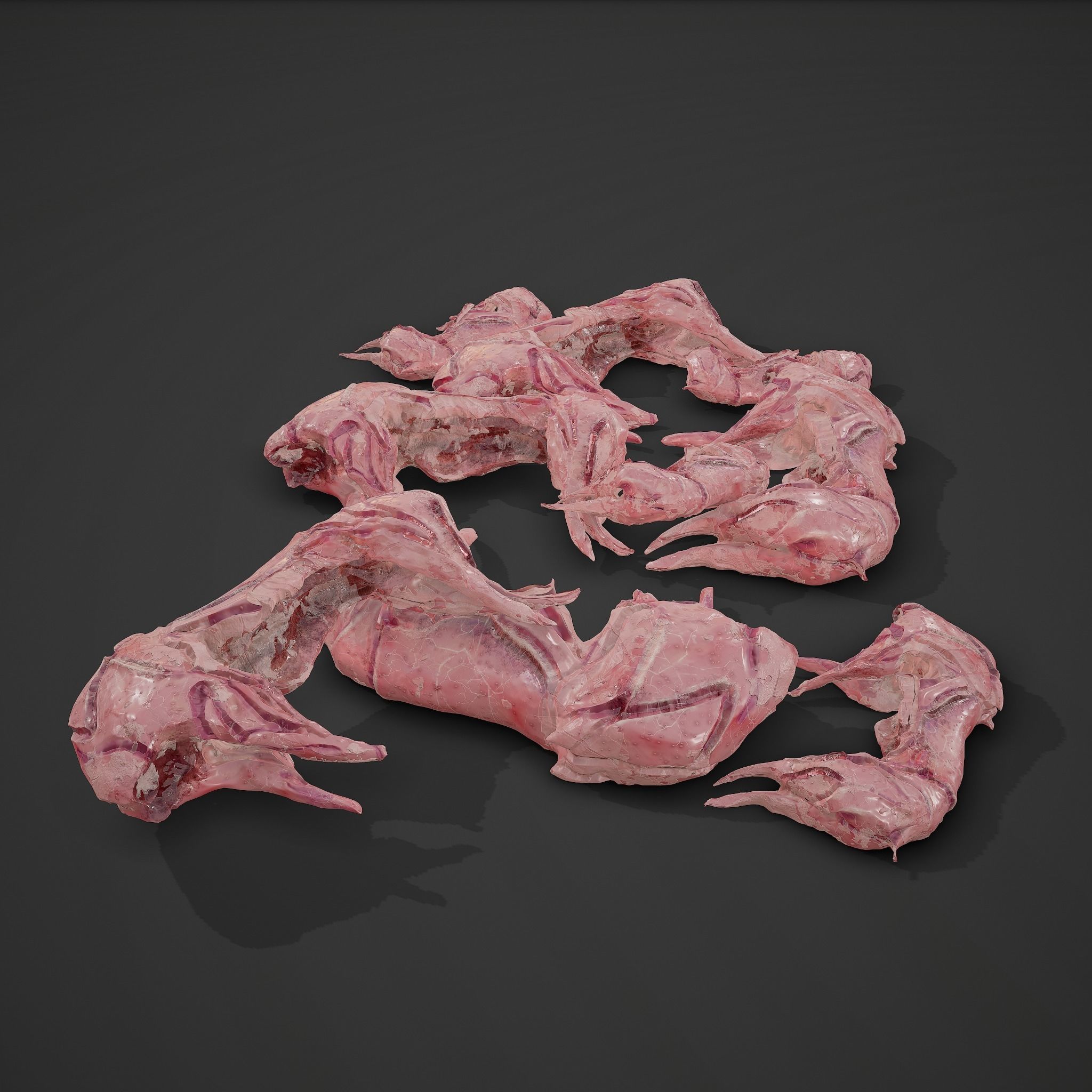 Skinned Rabbit Meat  3D model_4