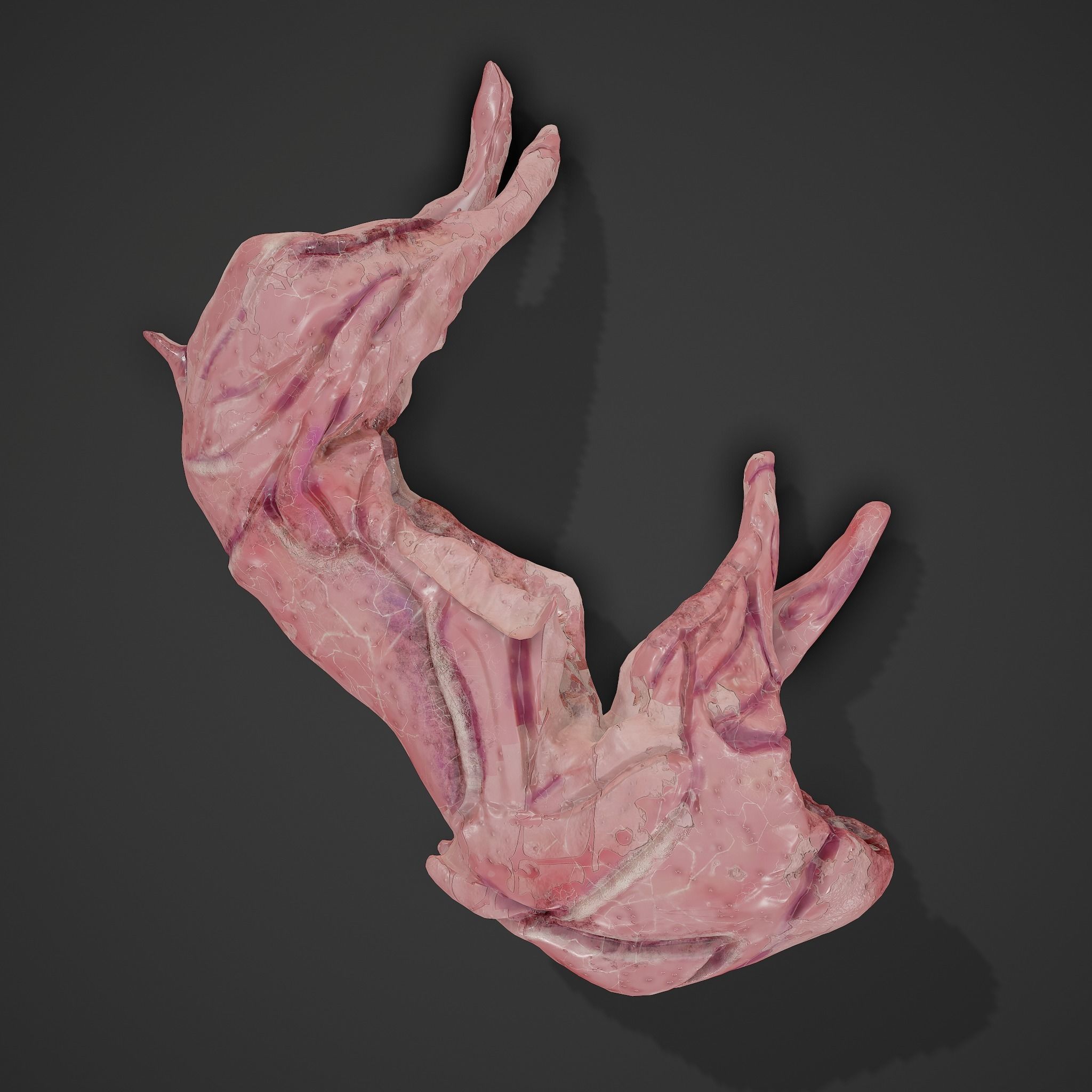 Skinned Rabbit Meat  3D model_12