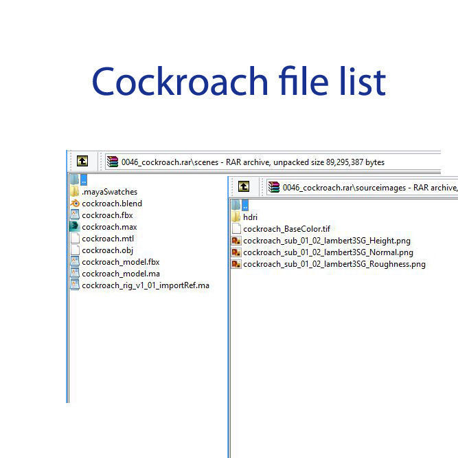 cockroach 3d maya rigged 3D model_8