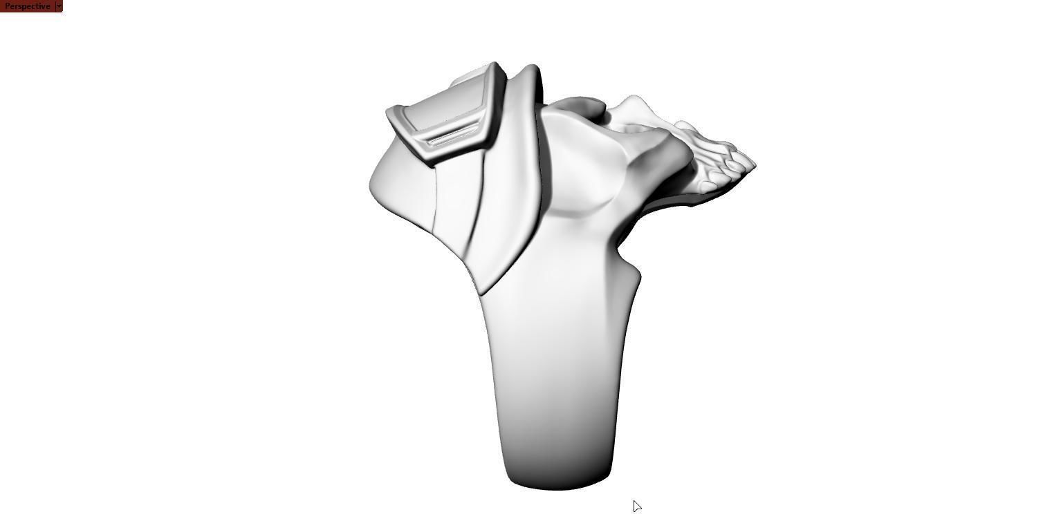 skull helmet 3D print model_3