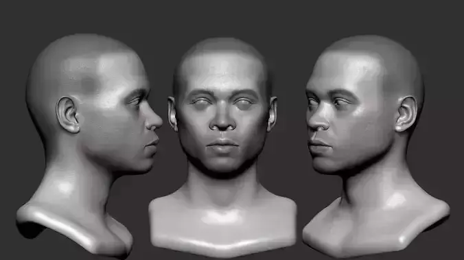  Man Head Base mesh 