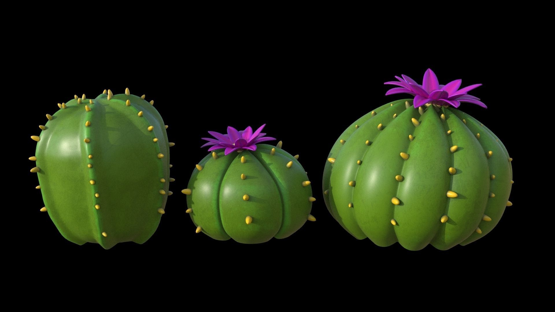 Cartoon cactuses asset 3D model_7