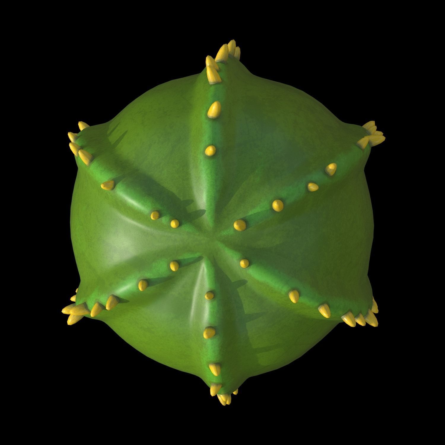 Cartoon cactuses asset 3D model_19