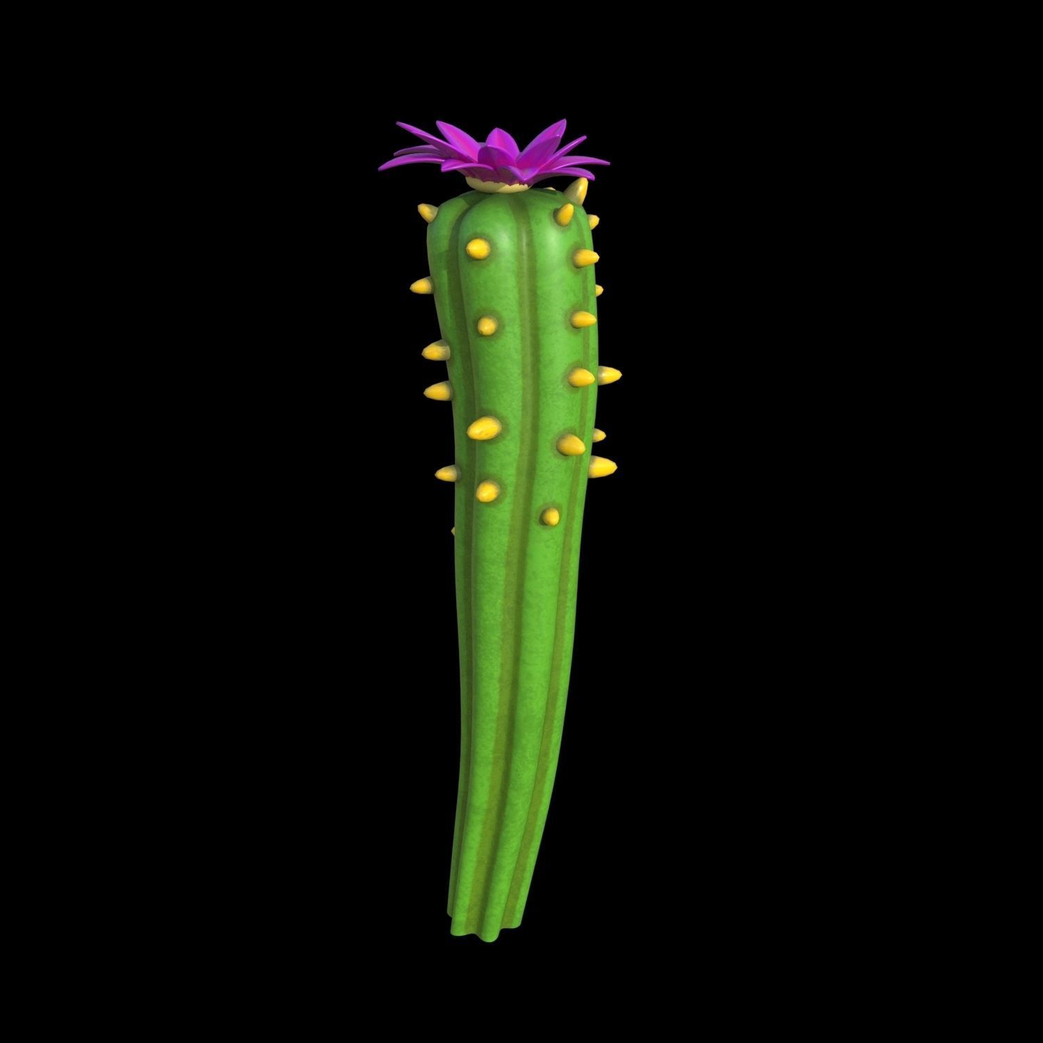 Cartoon cactuses asset 3D model_16