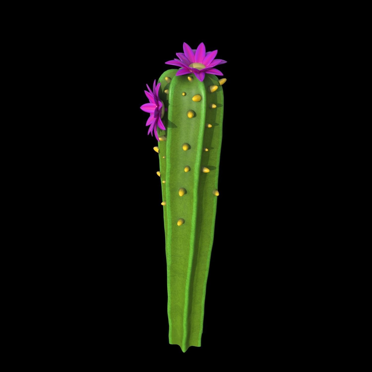 Cartoon cactuses asset 3D model_23