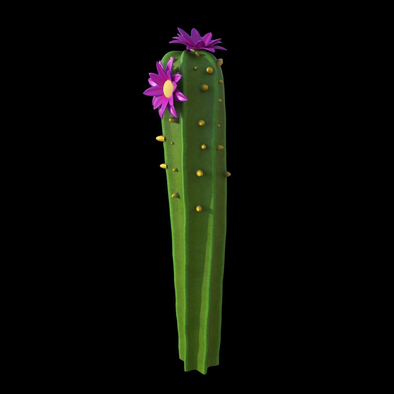 Cartoon cactuses asset 3D model_17