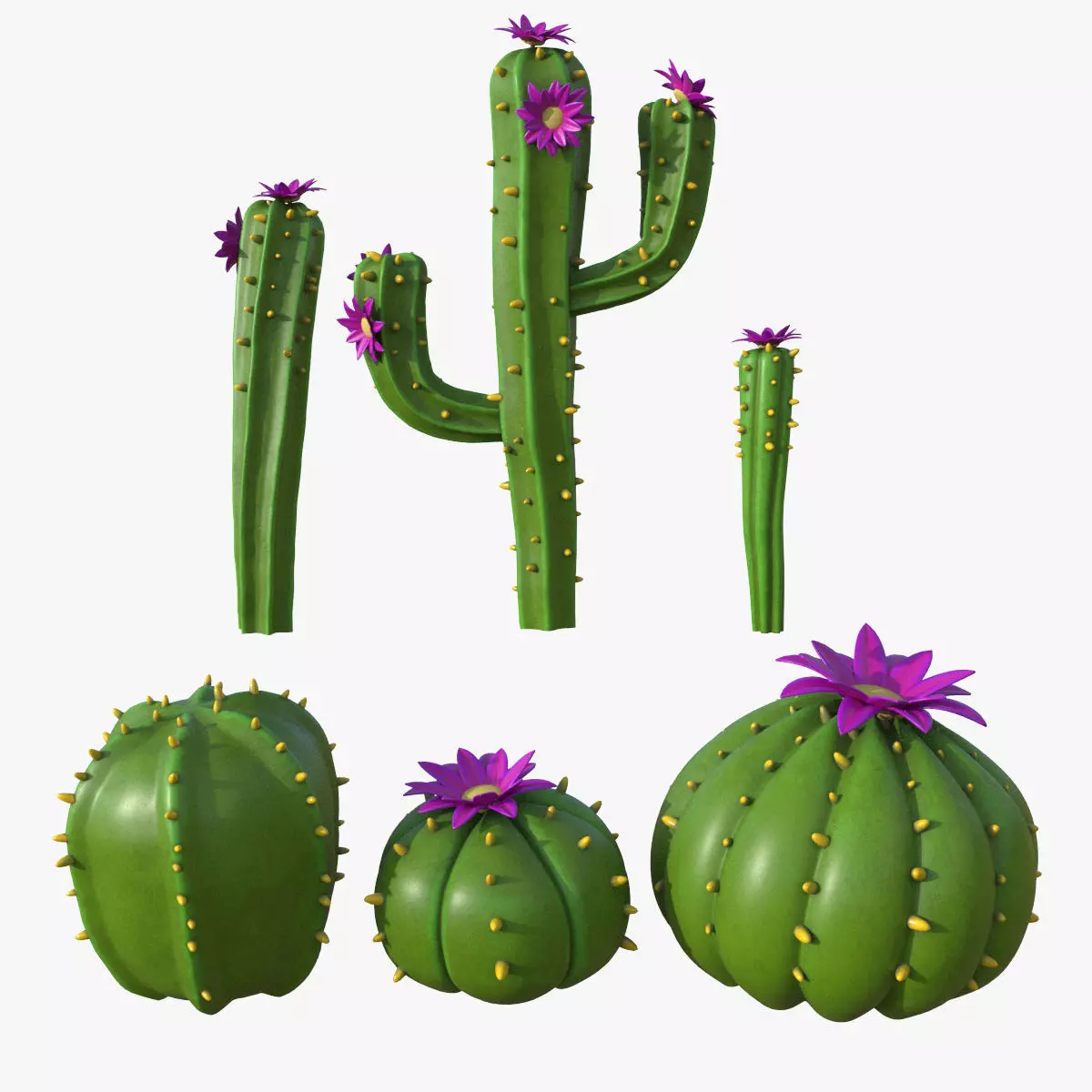 Cartoon cactuses asset 3D model_0