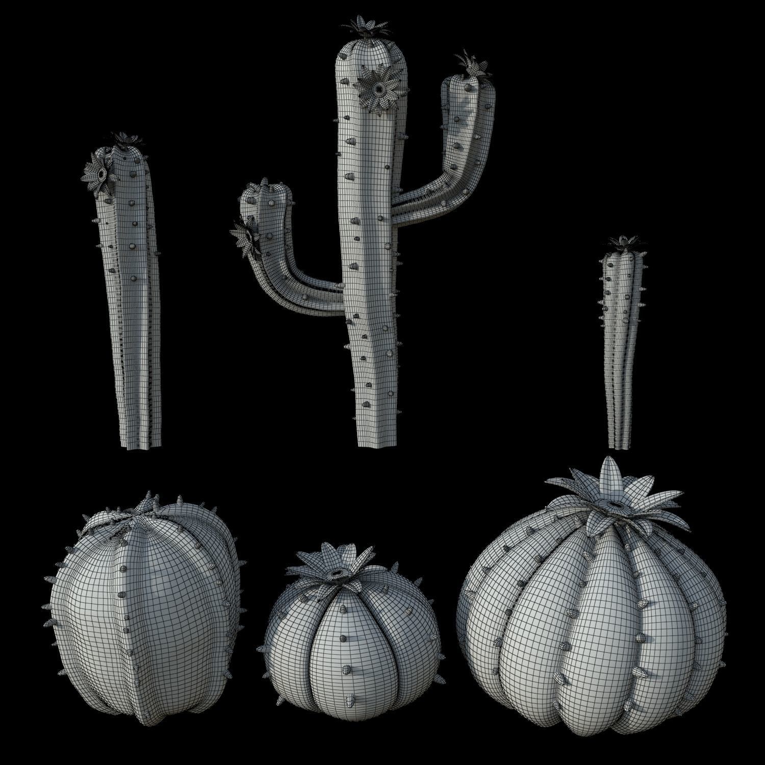 Cartoon cactuses asset 3D model_2