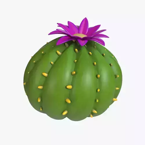 Cartoon cactus v05