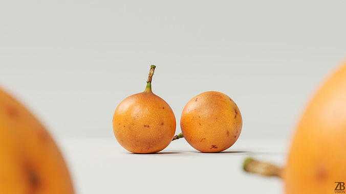 Granadilla 3D model