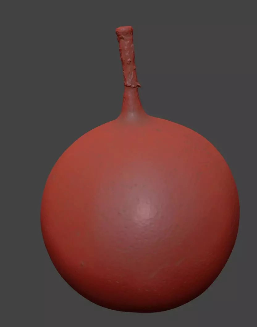 Granadilla 3D model_7