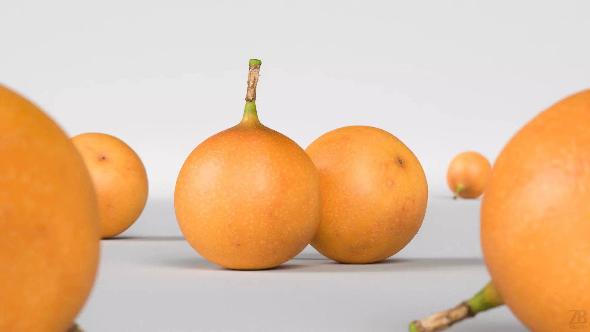 Granadilla 3D model_1