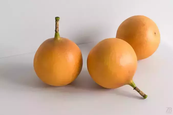 Granadilla 3D model
