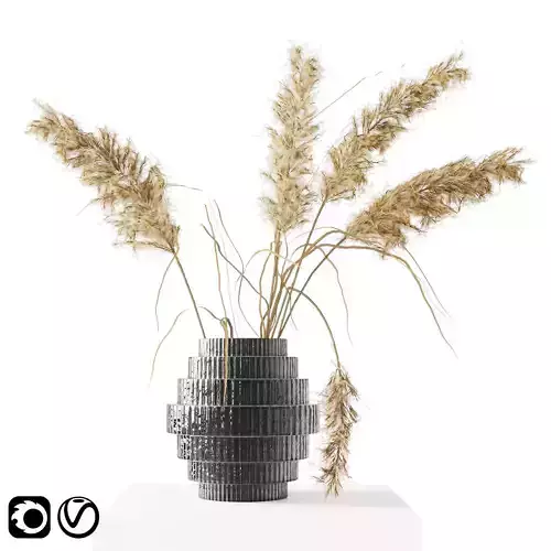 Black Vase with Pampas