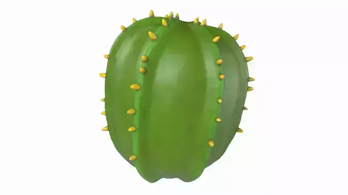 Cartoon cactus v02