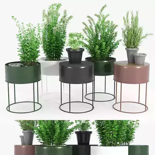 Round Plant Box
