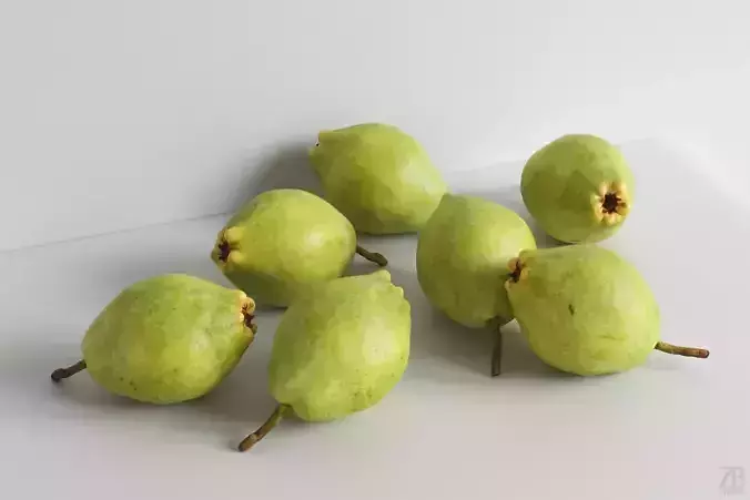 Pear  3D model