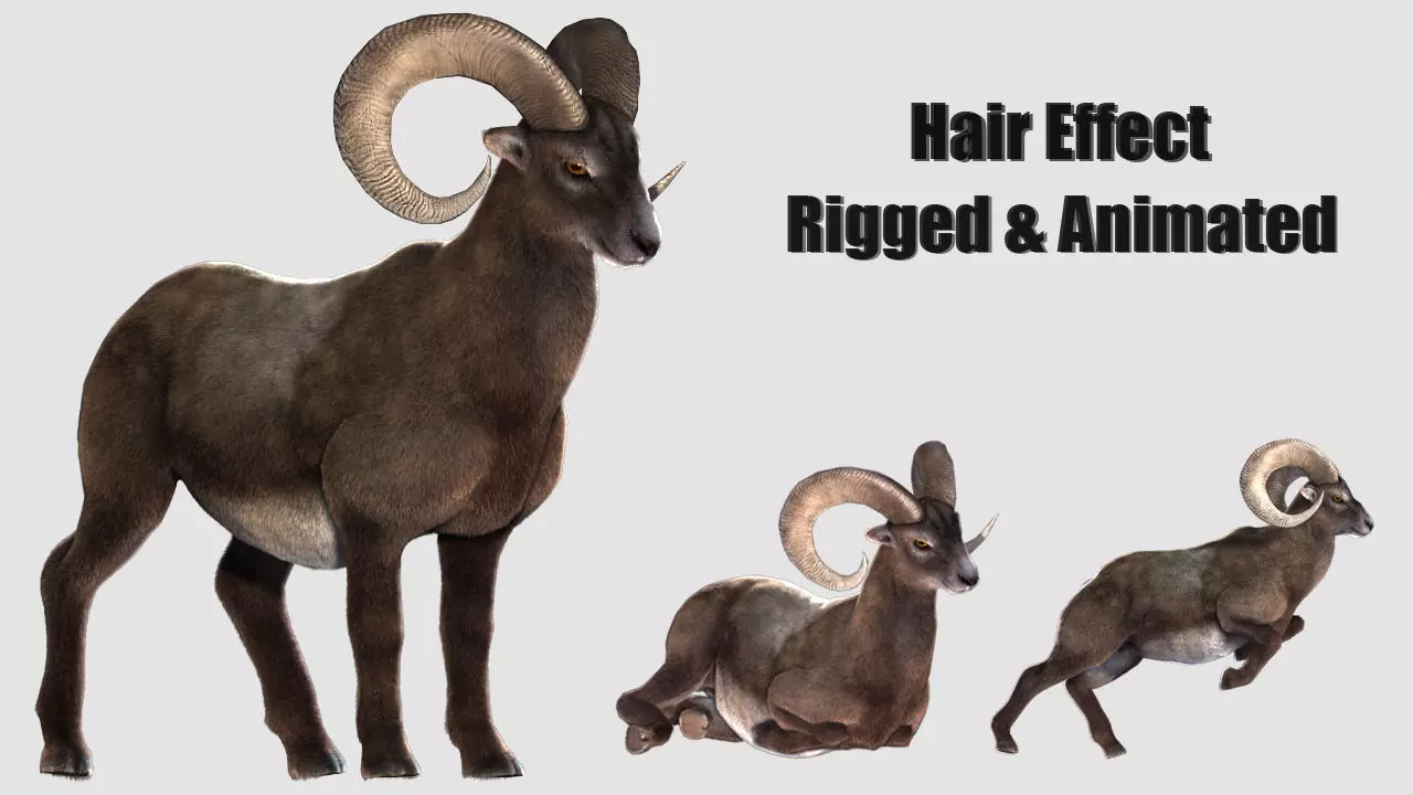 rigged goat ram sheep  Low-poly 3D model_0