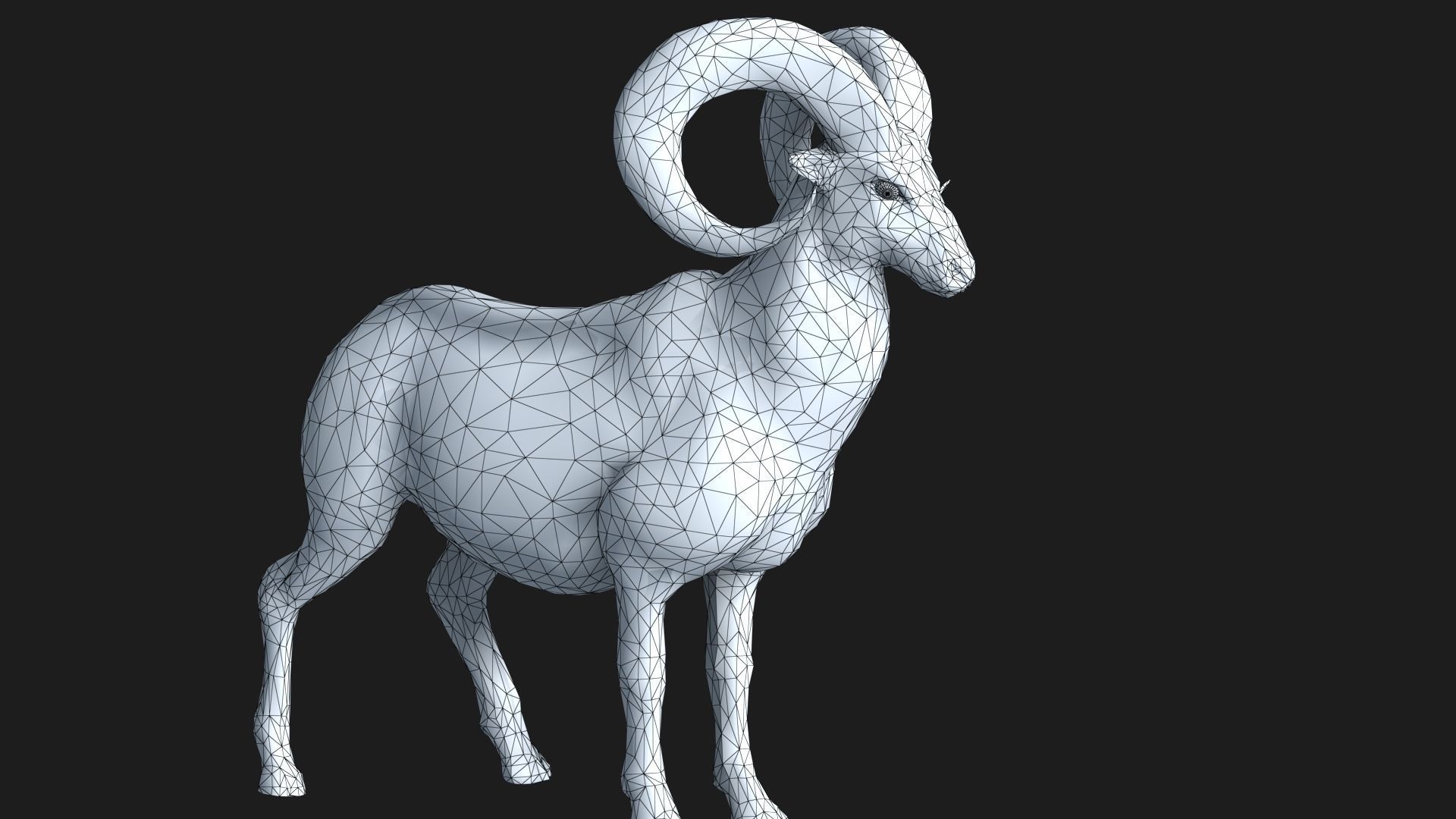 rigged goat ram sheep  Low-poly 3D model_13