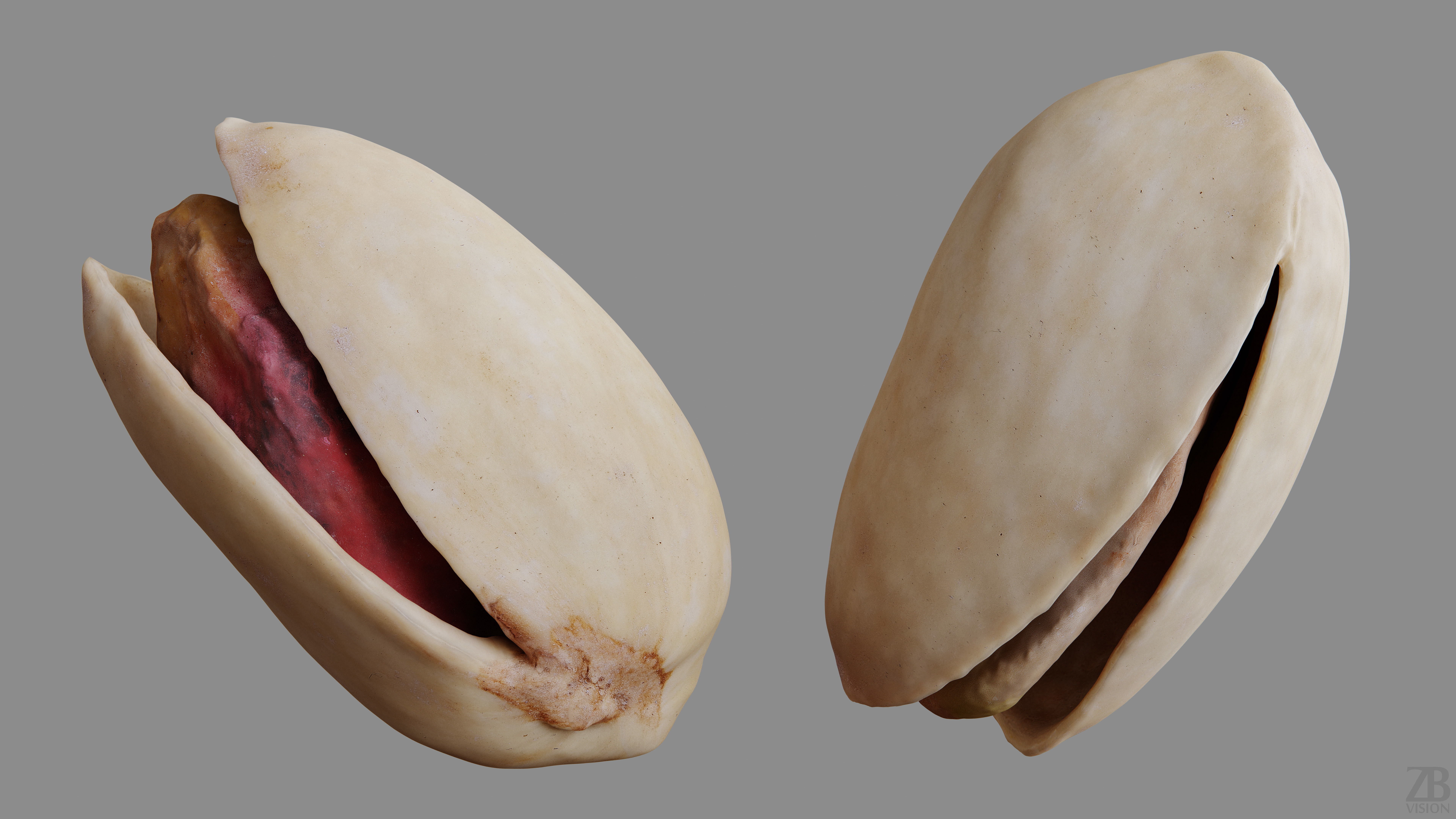 Pistacchio 3D model_9