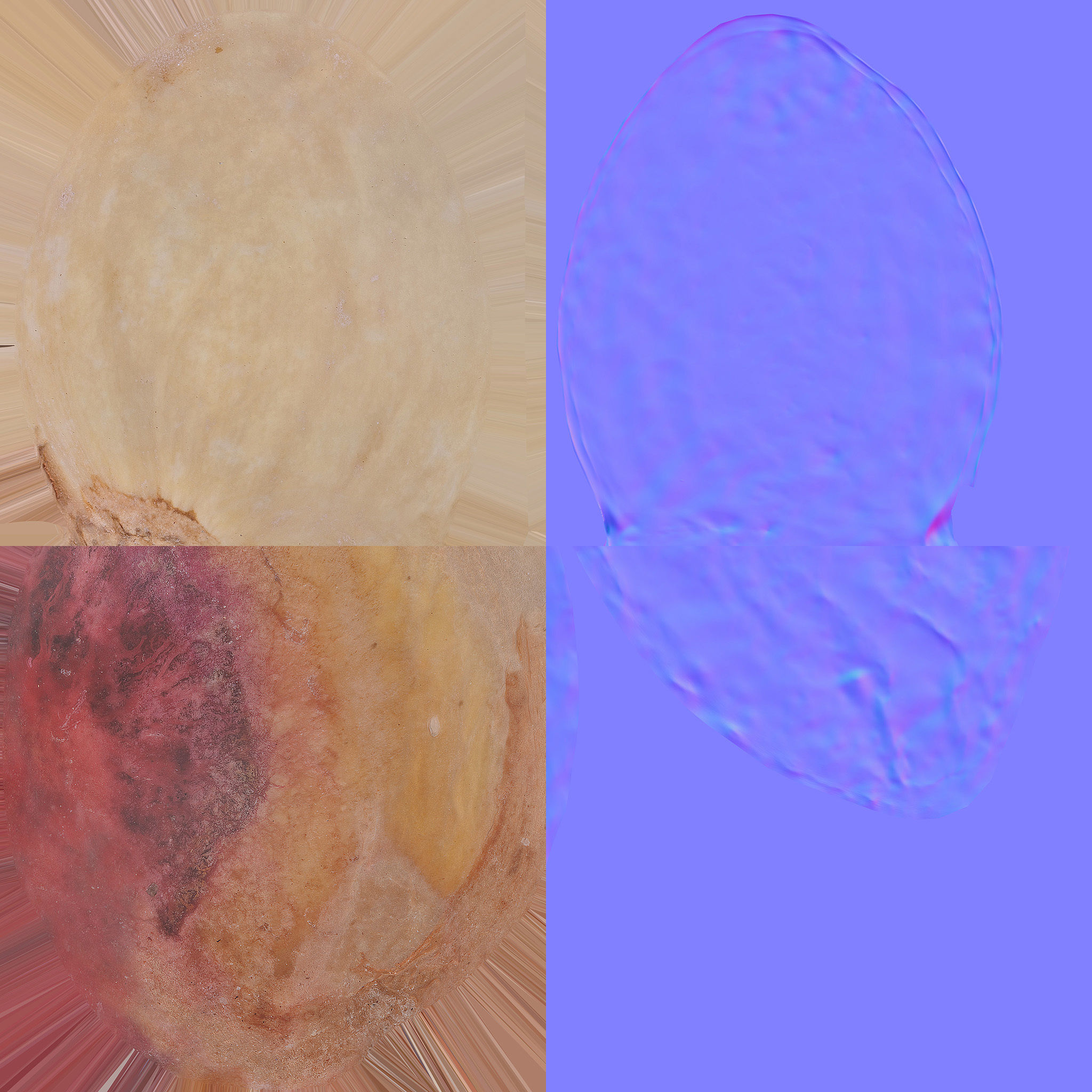 Pistacchio 3D model_8