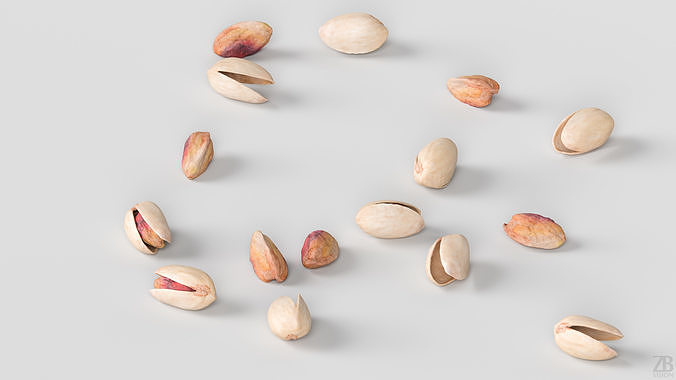 Pistacchio 3D model 3