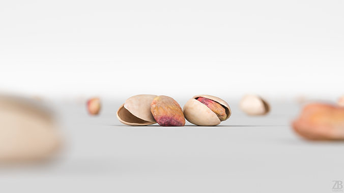 Pistacchio 3D model 2