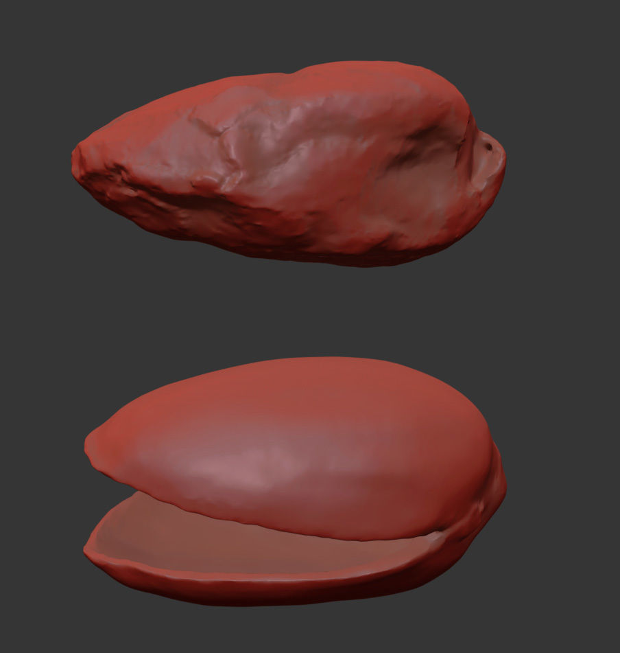 Pistacchio 3D model_7