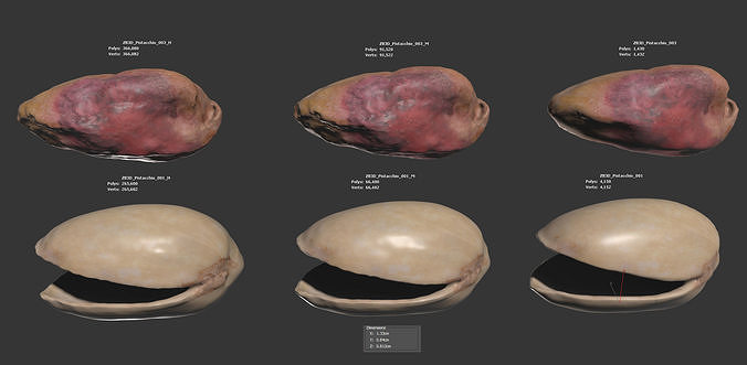Pistacchio 3D model 6