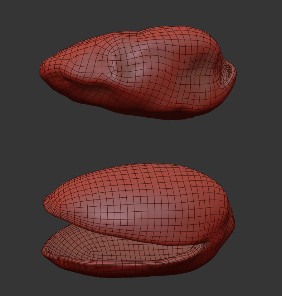 Pistacchio 3D model_6