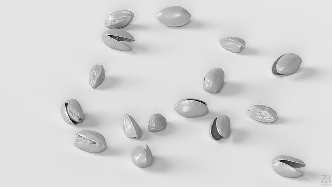 Pistacchio 3D model 4