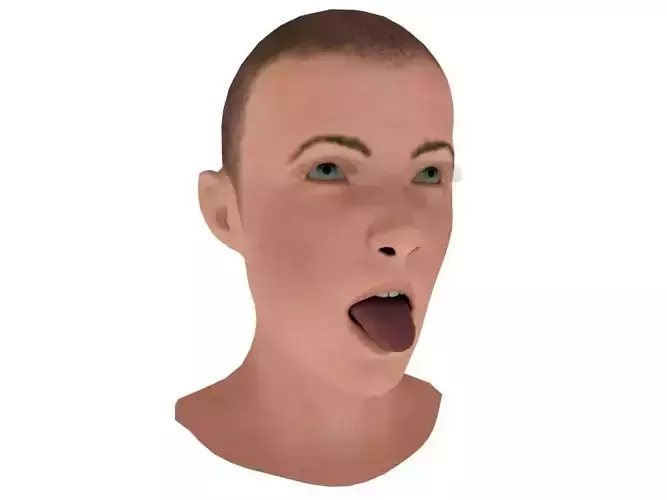 Open Mouth Head Low-poly 3D model