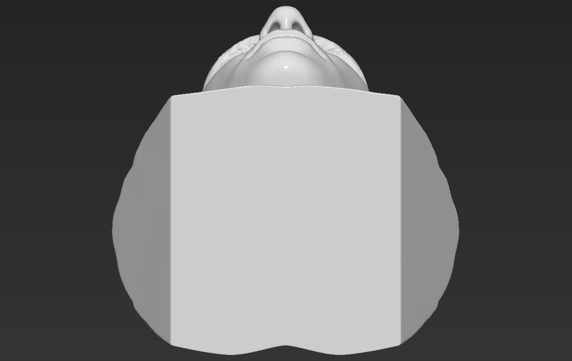 Rafael Nadal bust 3D printing ready stl obj formats 3D print model_22