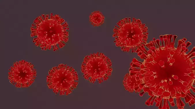 Corona group of coronaviruses