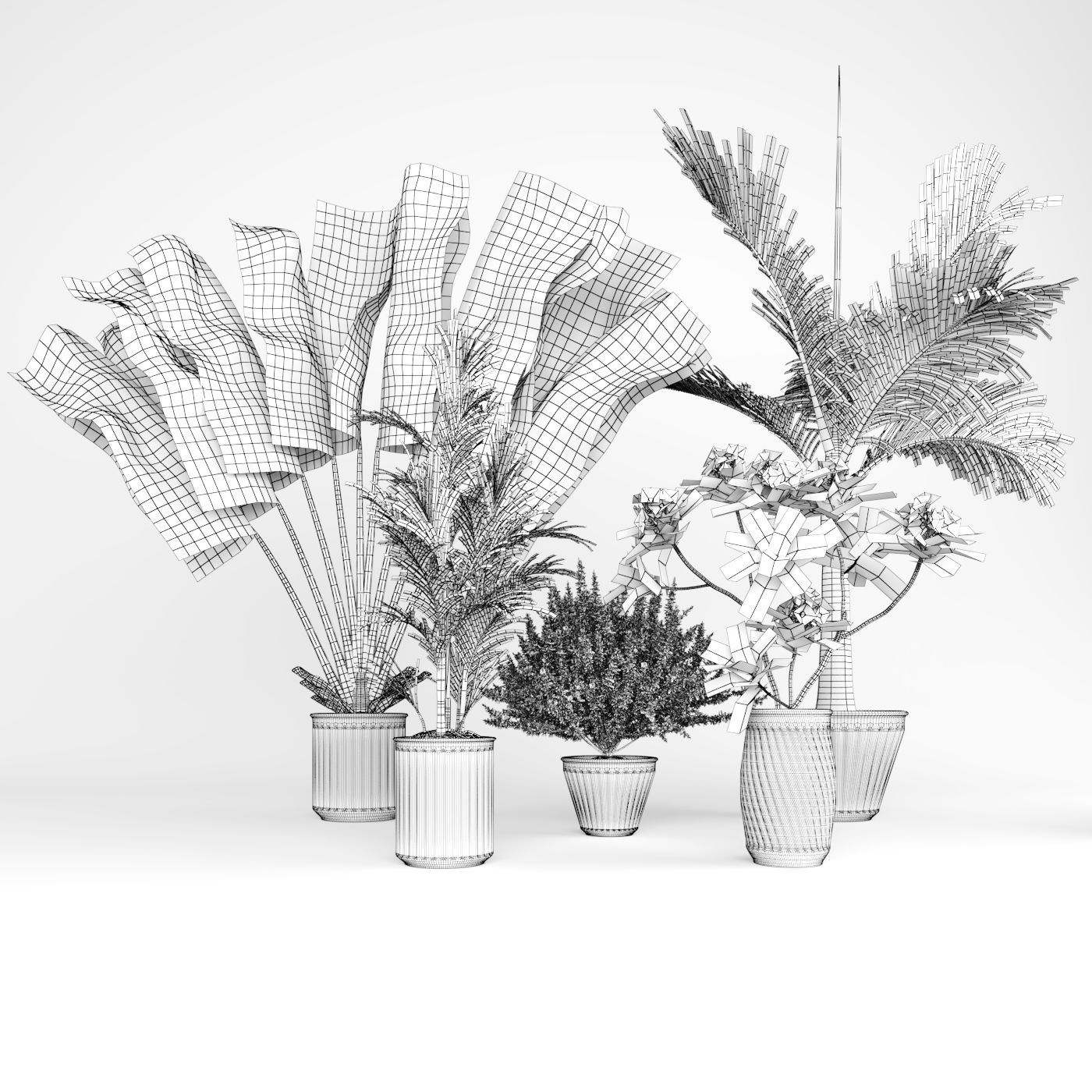 Collection of Plant 01 3D model_5