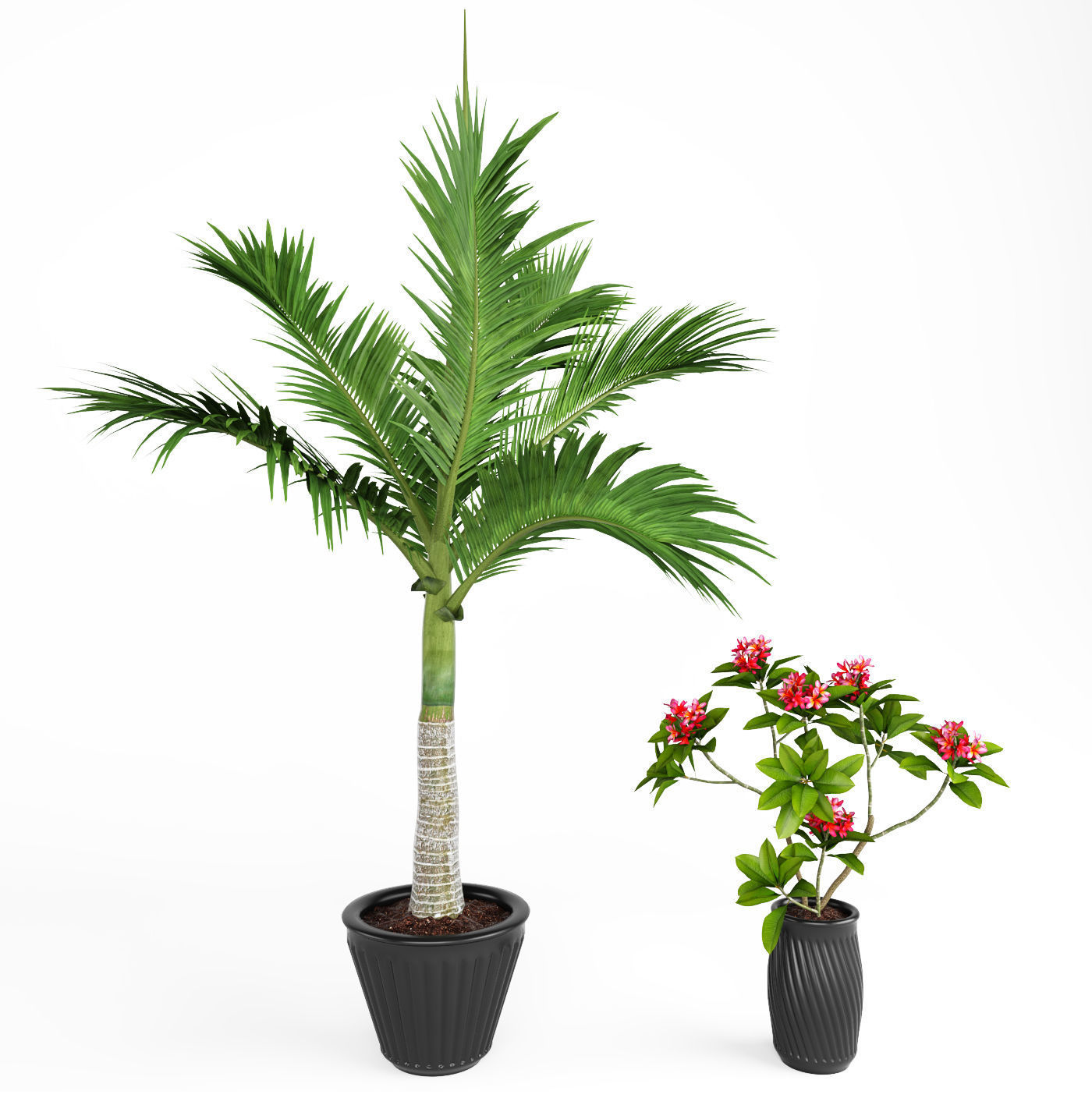 Collection of Plant 01 3D model_3