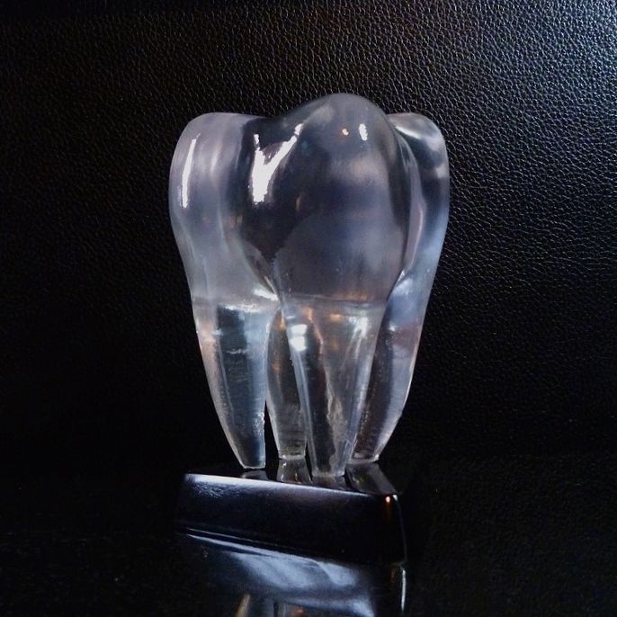 Tooth 3D model figurines 3D print model_11