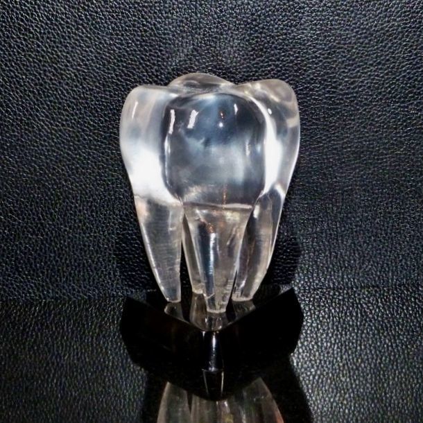 Tooth 3D model figurines 3D print model_10