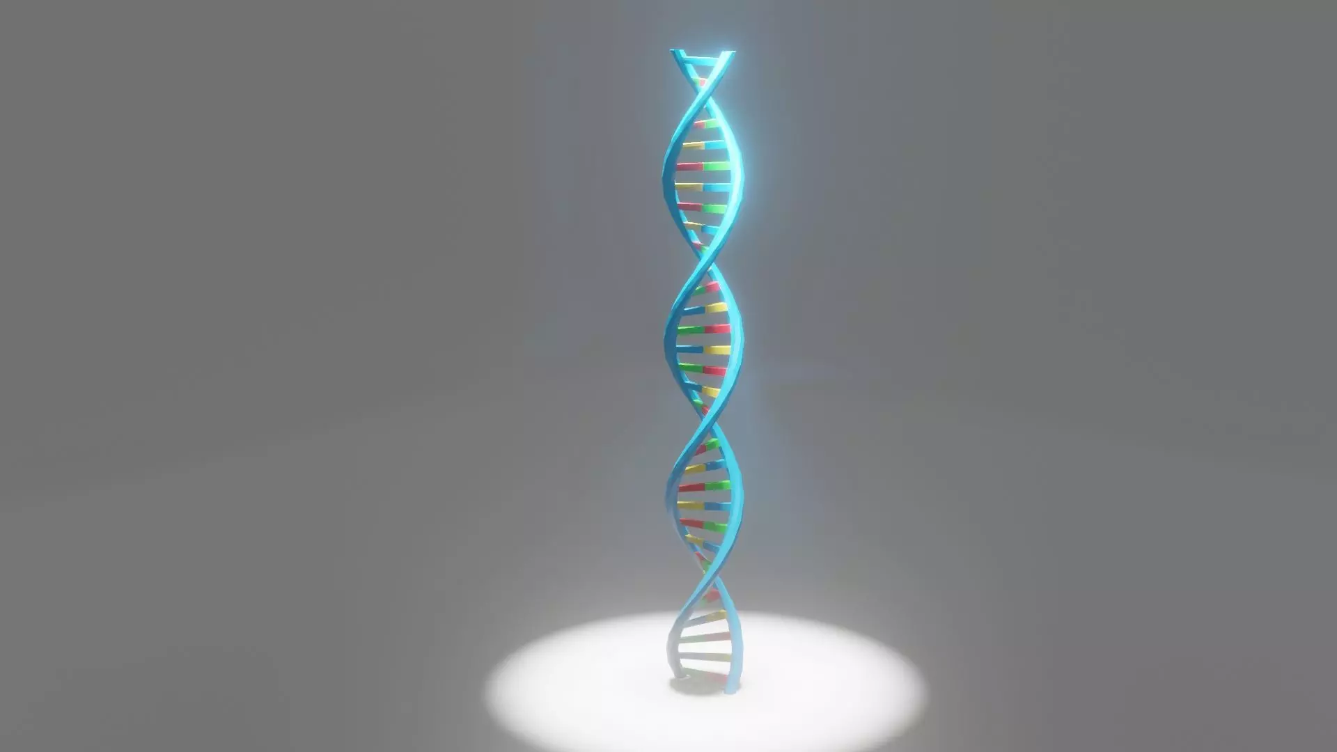 DNA Molecule 3D Model Free 3D model_0