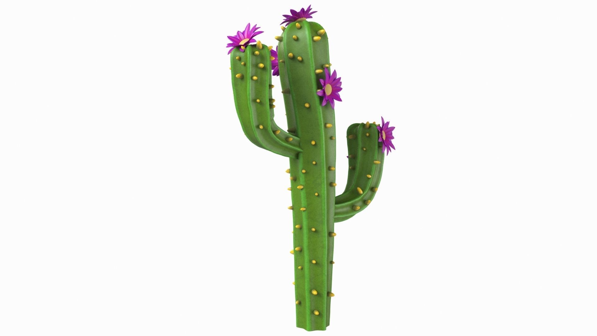 Cartoon cactus v01 3D model_4