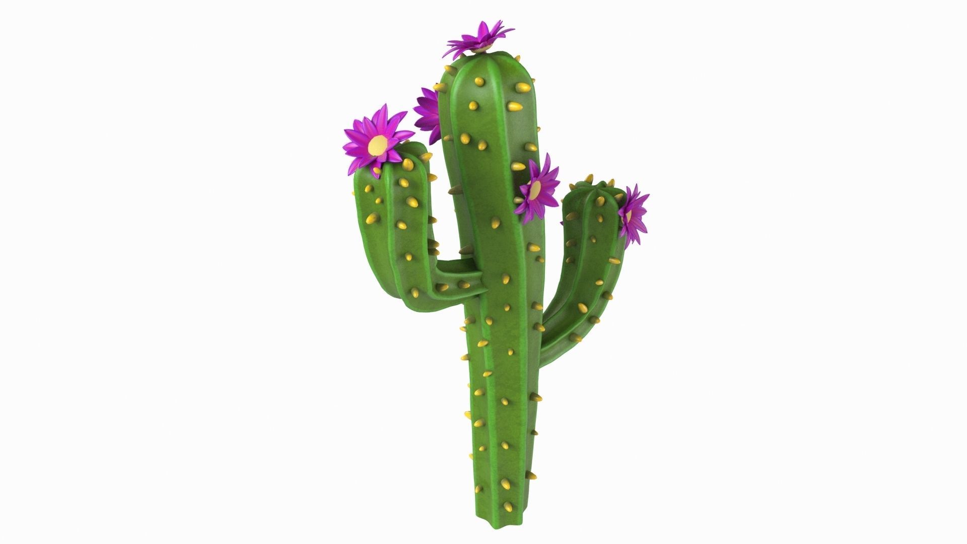 Cartoon cactus v01 3D model_1
