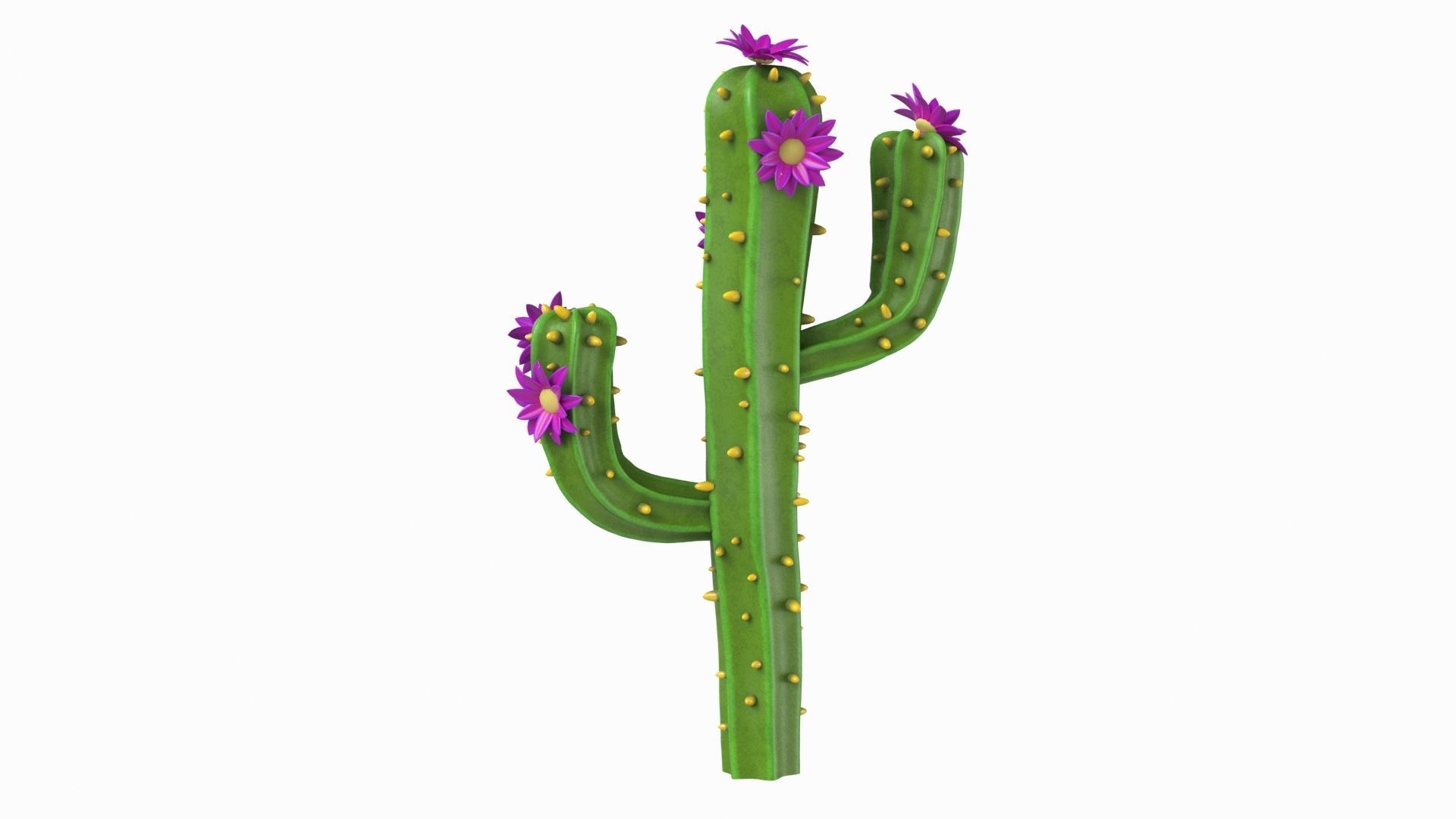 Cartoon cactus v01 3D model_3