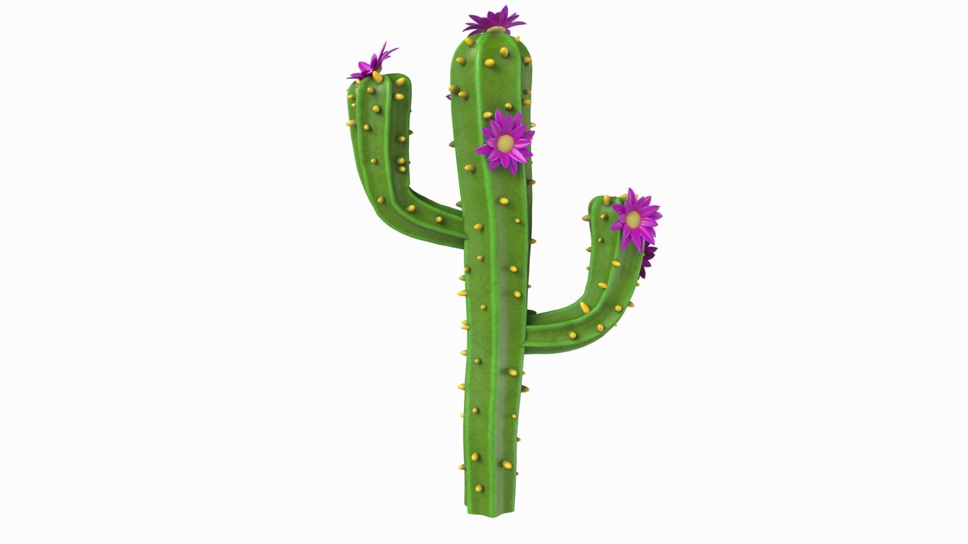 Cartoon cactus v01 3D model_2