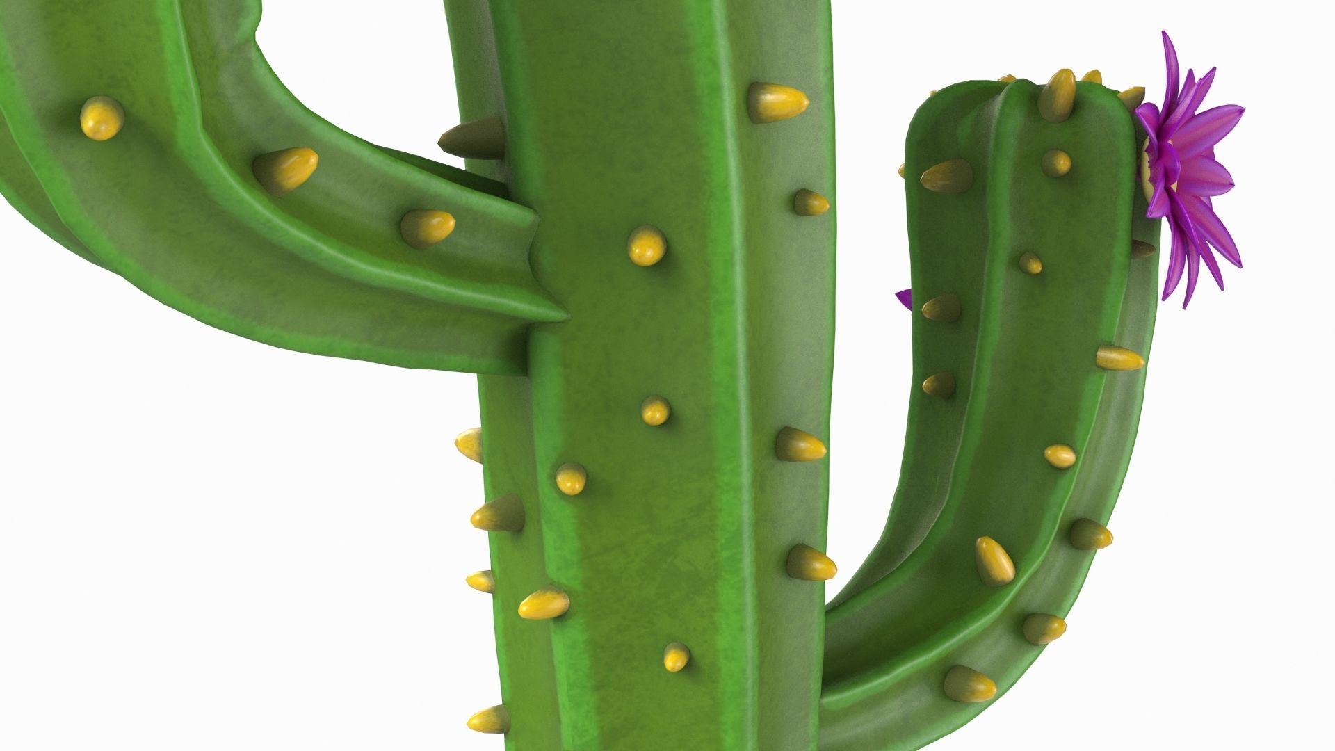Cartoon cactus v01 3D model_5