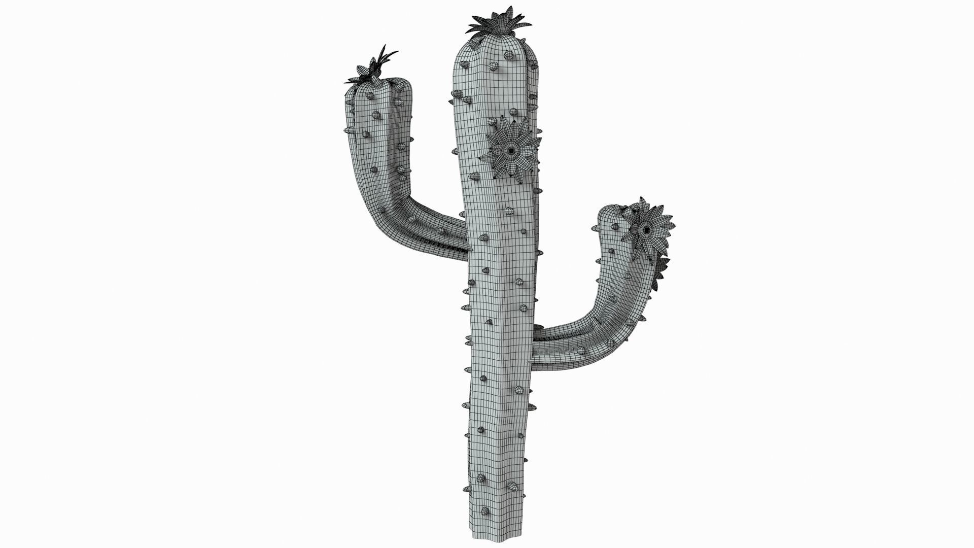 Cartoon cactus v01 3D model_6