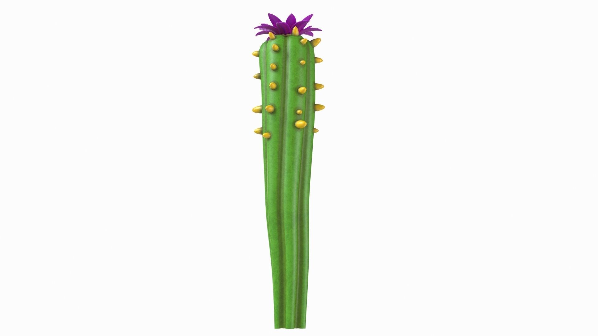 Cartoon cactus  3D model_5