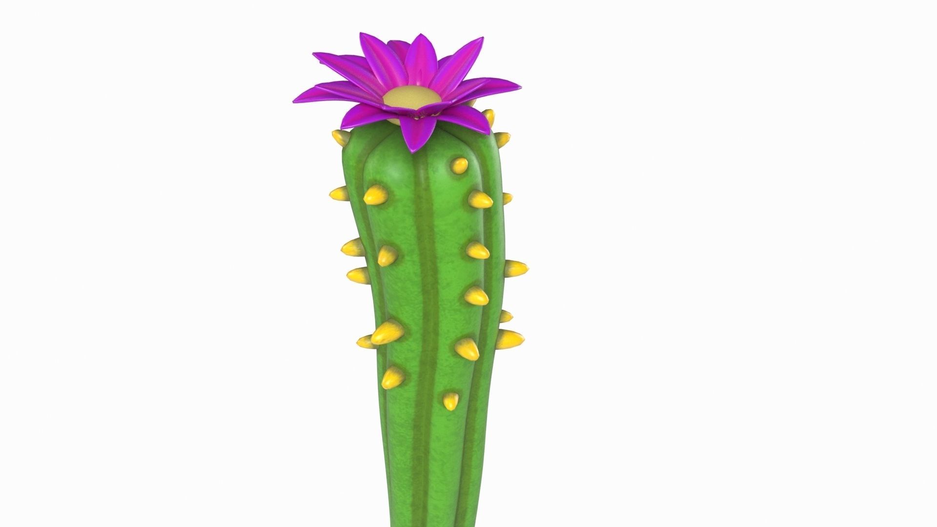 Cartoon cactus  3D model_2